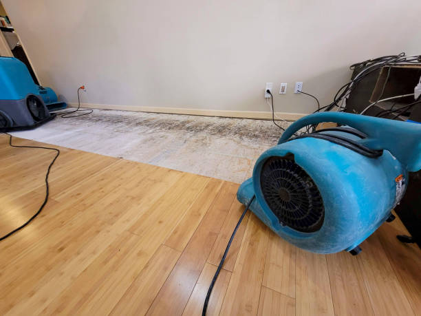 Professional Water Damage Repair technician working in Shingle Springs, CA